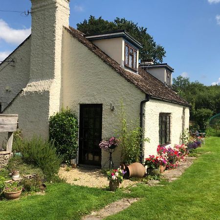 Bed and Breakfast Chaseborough Farm Verwood Exterior foto