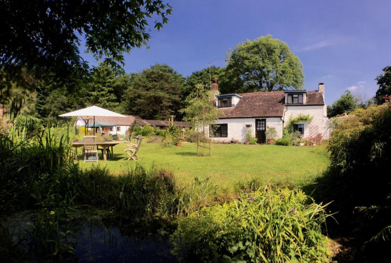 Bed and Breakfast Chaseborough Farm Verwood Exterior foto